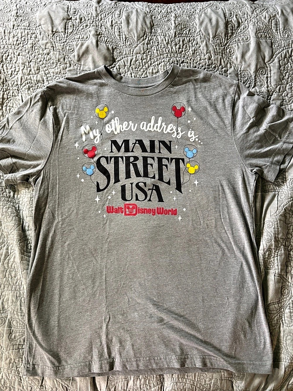 Disney Walt Disney World Main Street USA T-Shirt Walt World